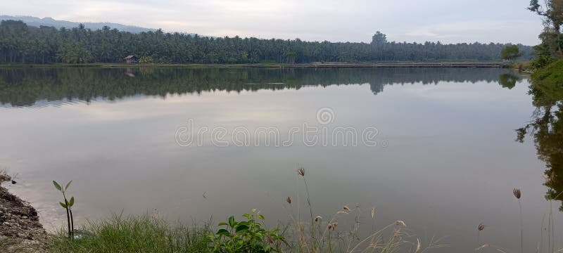 swamps and mountains