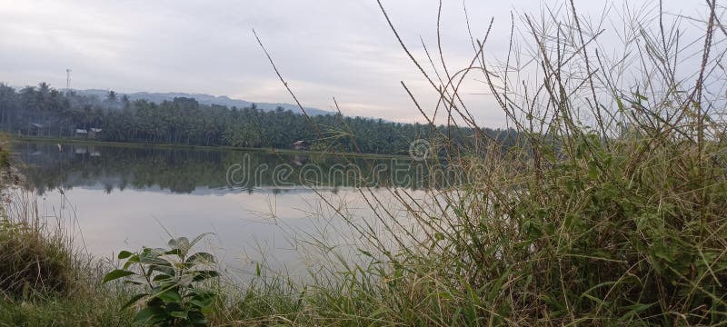 swamps and mountains