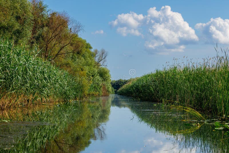 Swamps and Wilderness of the Danube Delta in Romania Stock Image ...