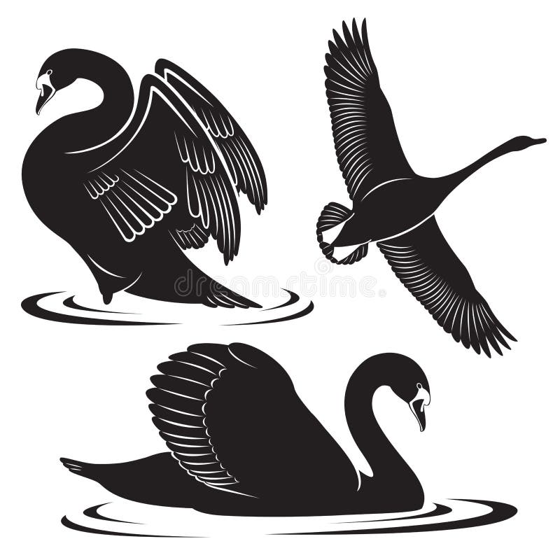 Swan Stock Illustrations – 11,993 Swan Stock Illustrations, Vectors ...