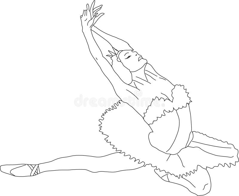 Swan lake stock vector. Illustration of choreography, creativity - 3340577