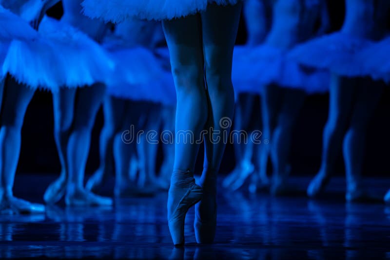 Swan Lake ballet. Ballerinas dancing