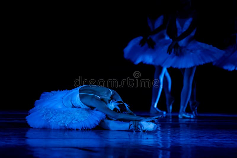 Swan Lake Ballet Ballerinas Dancing Stock Photo Image Of Floor