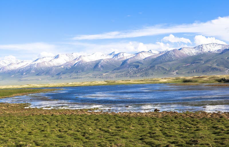 Swan Lake in Bayanbulak Grasslands in Xinjiang