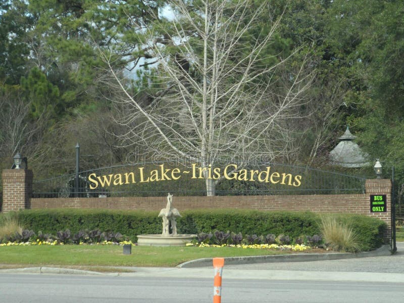 Swan Lake South Carolina Stock Photos Download 135 Royalty Free