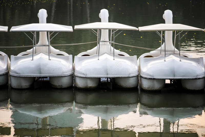 Swan paddle boats in a lake stock image Swan paddle boats in a lake stock image