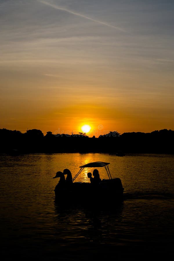 Swan pedal boat at sunset stock photo. Image of clean 64586146