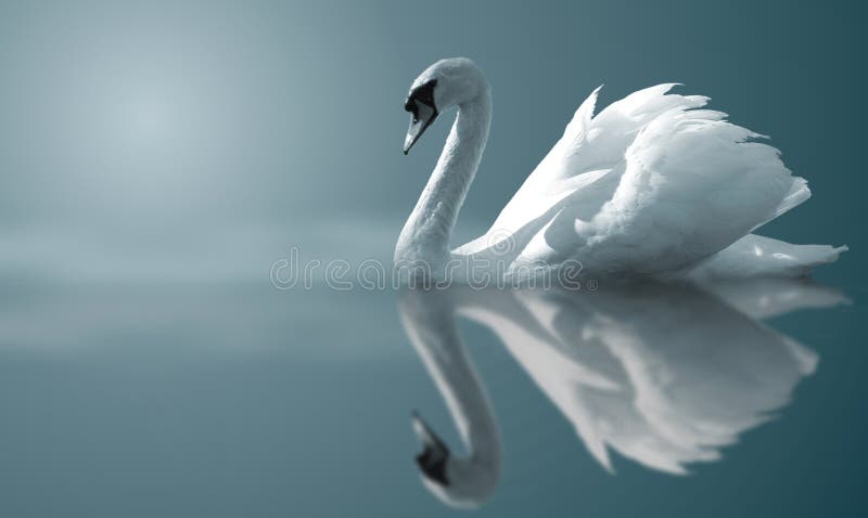Animals and Birds Stock Photos and Royalty Free Images Animals and Birds Stock Photos and Royalty Free Images