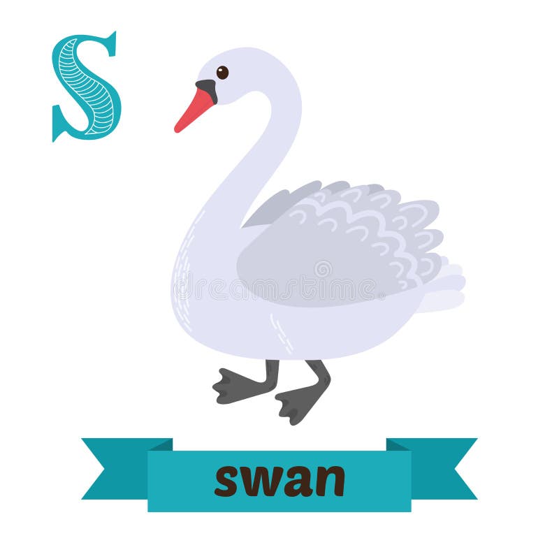 Swan. S letter. Cute children animal alphabet in vector. Funny c