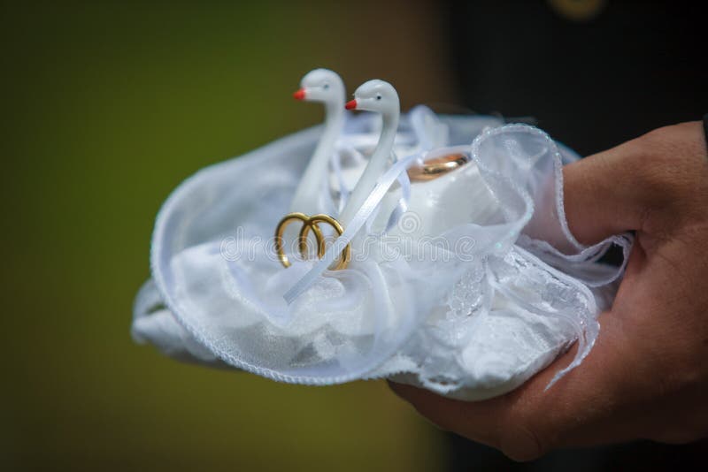 Cigni cuscino matrimonio d'amore con anelli di decorazione bianca colomba vird hobody nastro di seta.