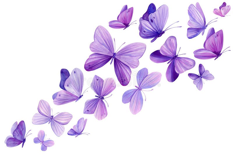 Swarm of beautiful butterflies, set of purple butterflies on isolated white background, watercolor violet illustration