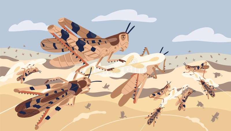 locust swarm gif