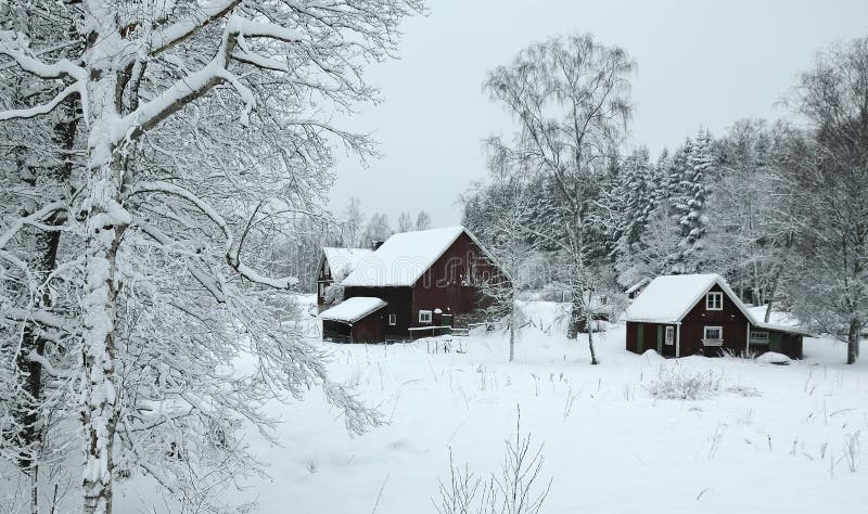 Sweden krajobrazowa południowa zima