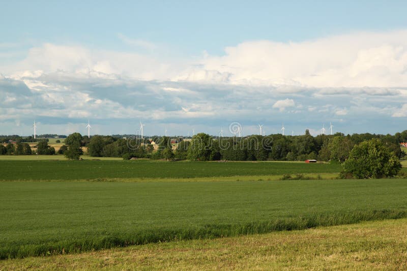 A typical Swedish summer view with green fields and windmills. A typical Swedish summer view with green fields and windmills.