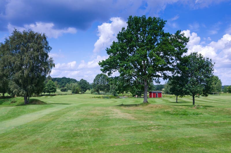 Typical Swedish golf course royalty free stock photography