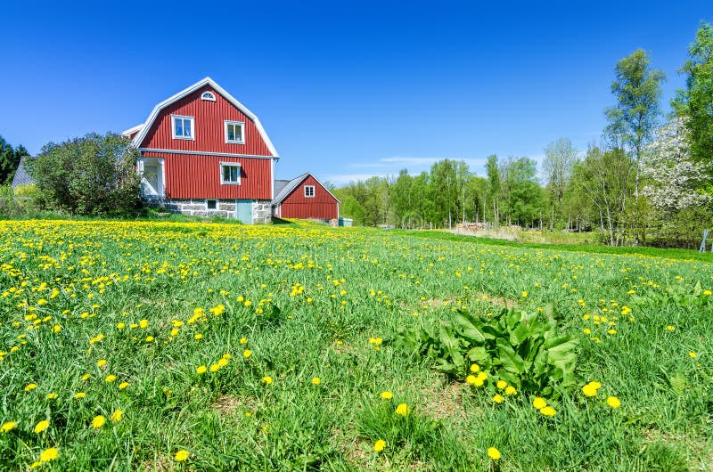 Swedish typical house in natural scenery