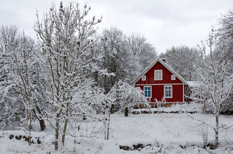 Swedish winter contrasts