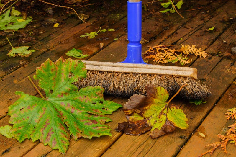 Sweeping leaves stock image. Image of sweeping, outdoor 33671777