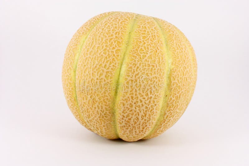 Sweet baby melon stock image. Image of delicious, vitamin 10503871