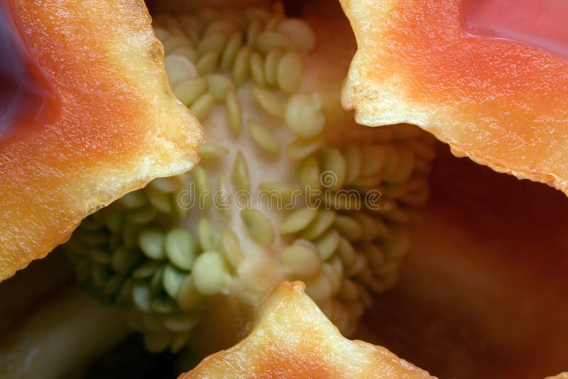 The sweet bulgarian pepper. stock images