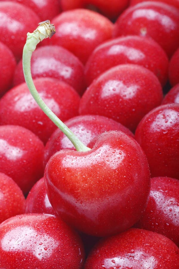 Sweet cherry