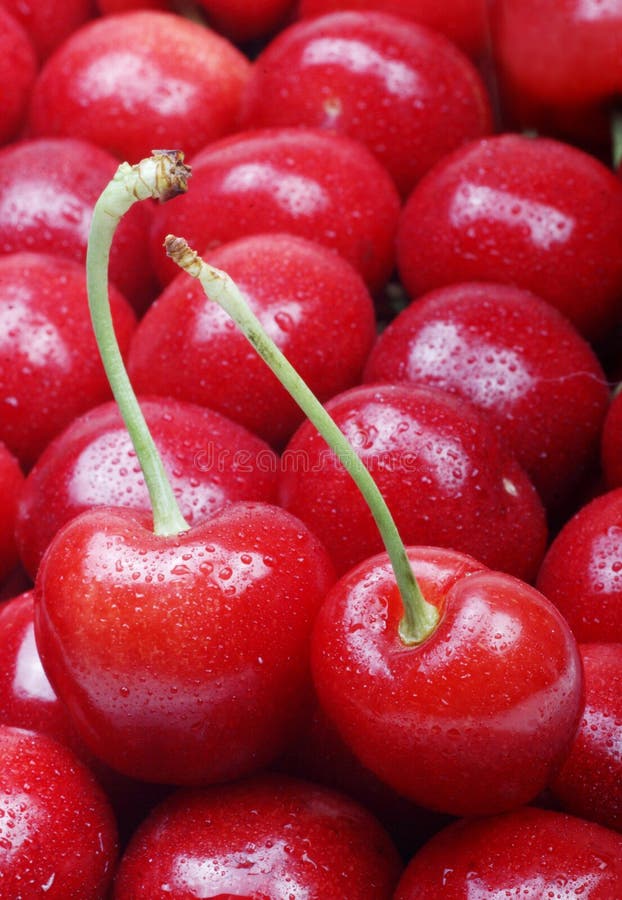Sweet cherry stock photo. Image of meal, plate, sweet 14261896