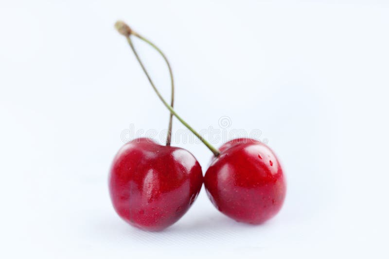 Sweet cherry