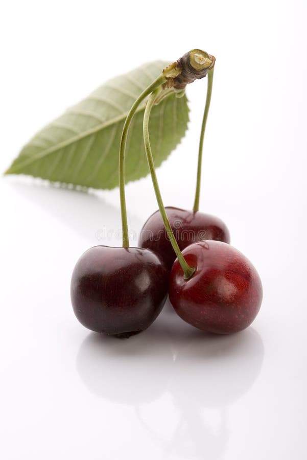 Sweet Cherry