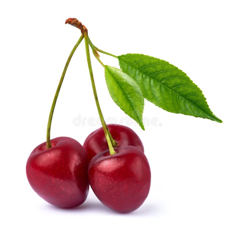 Sweet Cherry Fruits Isolated on White Background Stock Image - Image of ...