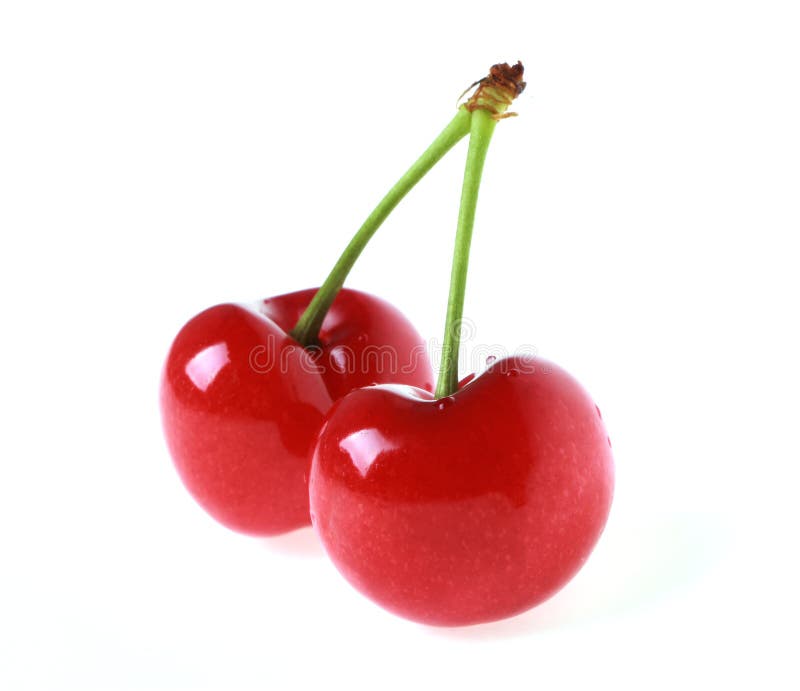 Cherry stock photo. Image of healthy, isolated, food - 16208388