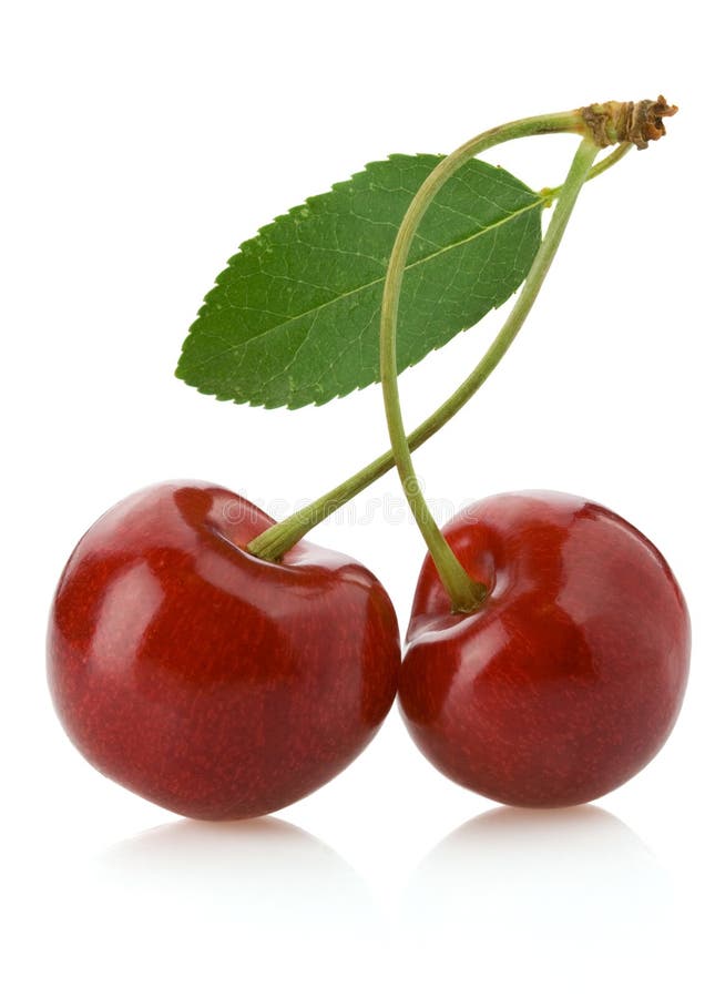 Sweet cherry on white royalty free stock photo