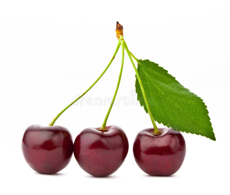 Sweet cherry on a white background stock photo