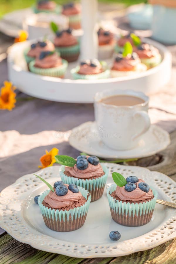 Sweet Chocolate Muffin Served with Coffee in Garden Stock Image Image of chocolate, closeup