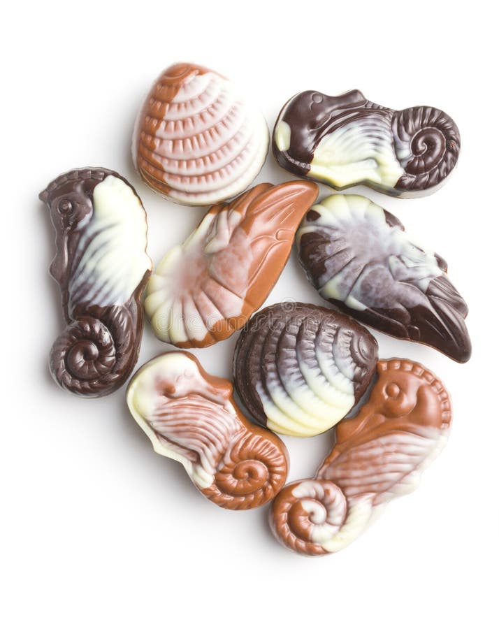 Sweet chocolate seashells. stock image. Image of seashells 107034653
