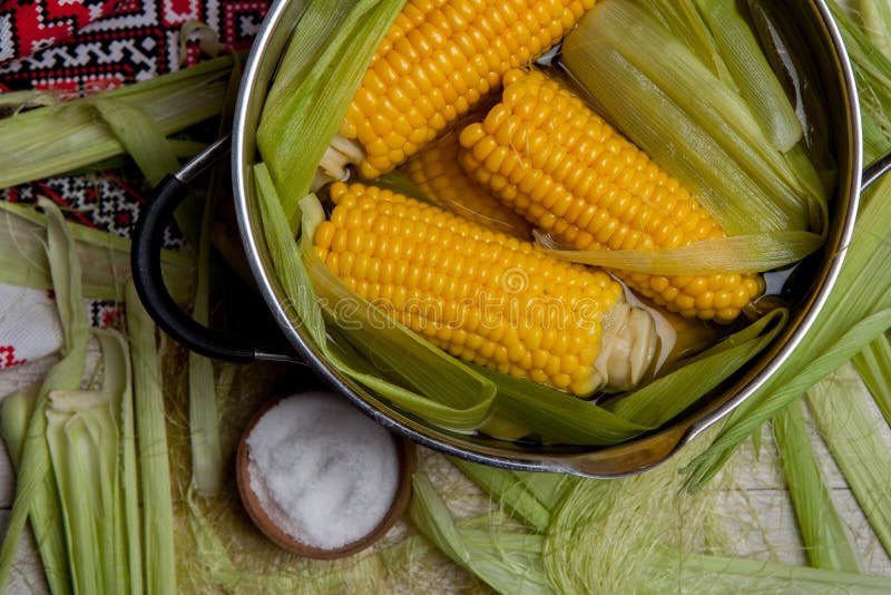 Sweet corn boil with salt. cooked sweet corn in pot on wooden table.