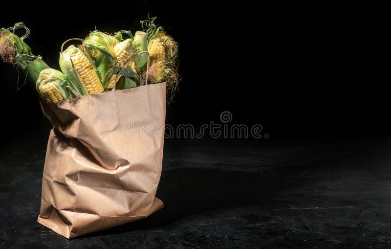 Sweet Corn on the Cob is in a Paper Bag Stock Photo Image of natural