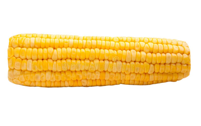 Sweet corn isolated