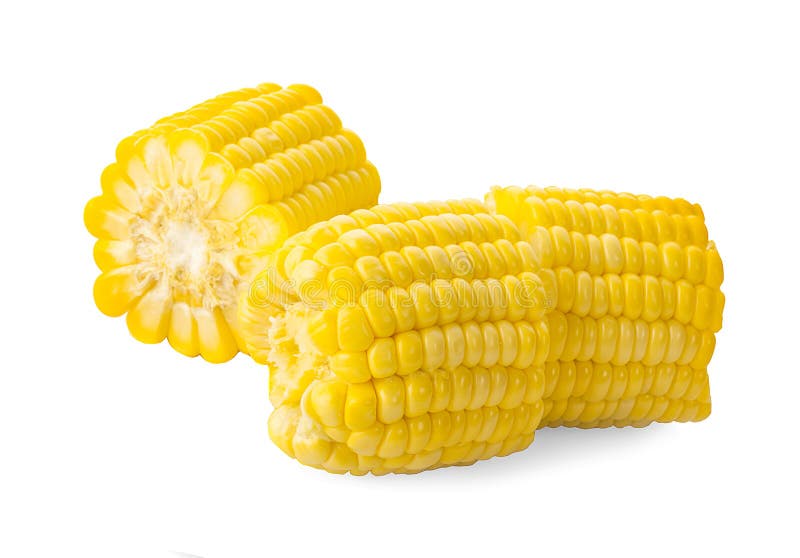 Sweet Corn Isolated on White Background Stock Photo - Image of ...