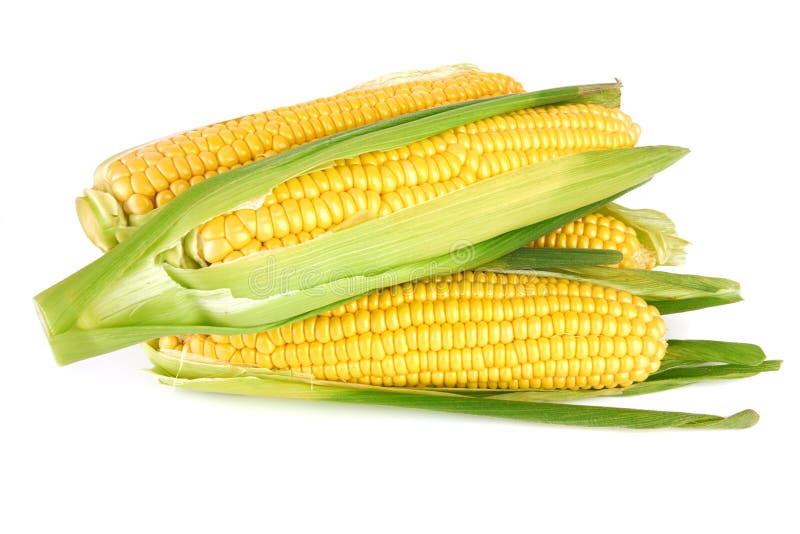 Sweet corn