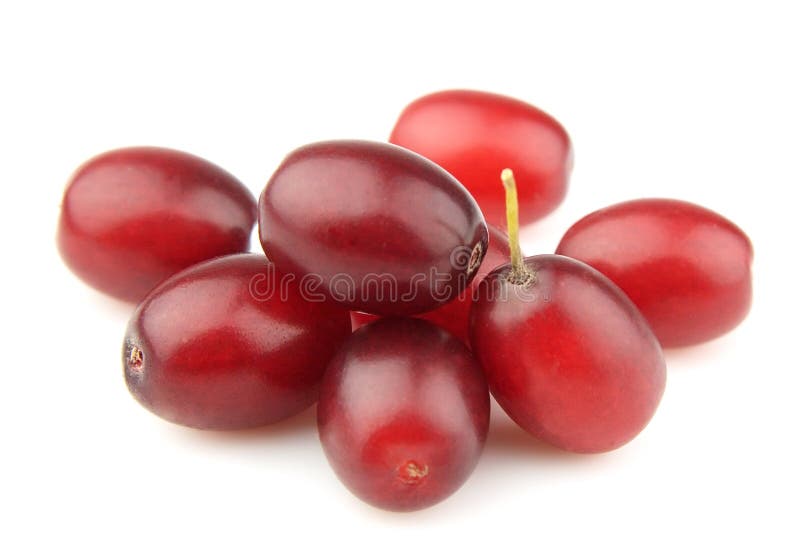 Sweet dogberry