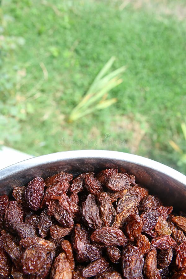 Sweet Dry Raisins Close-up Shot for Green Background . Many Raisins for ...