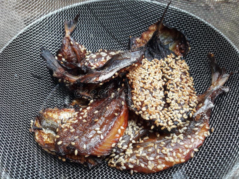 Dried Cuttlefish Stock Images Download 1,896 Royalty Free Photos