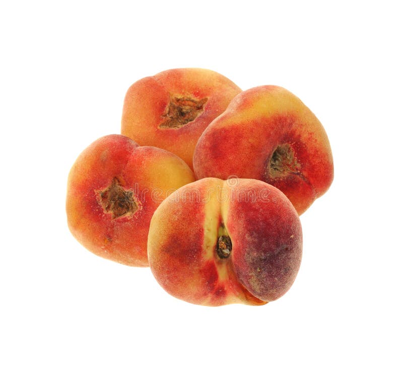 Round Peaches on White Background Stock