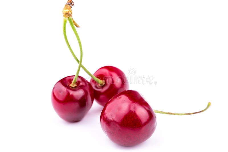 Sweet fresh cherry