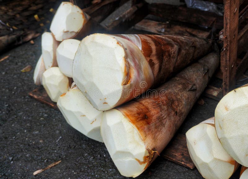Sweet Giant Bamboo Shoot Good for Cooking and Ingredients Stock Image -  Image of rock, sweet: 209757011