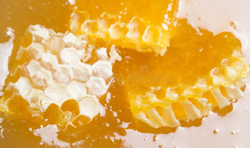 Sweet Golden honey stock image. Image of sweet, tasty - 64168731