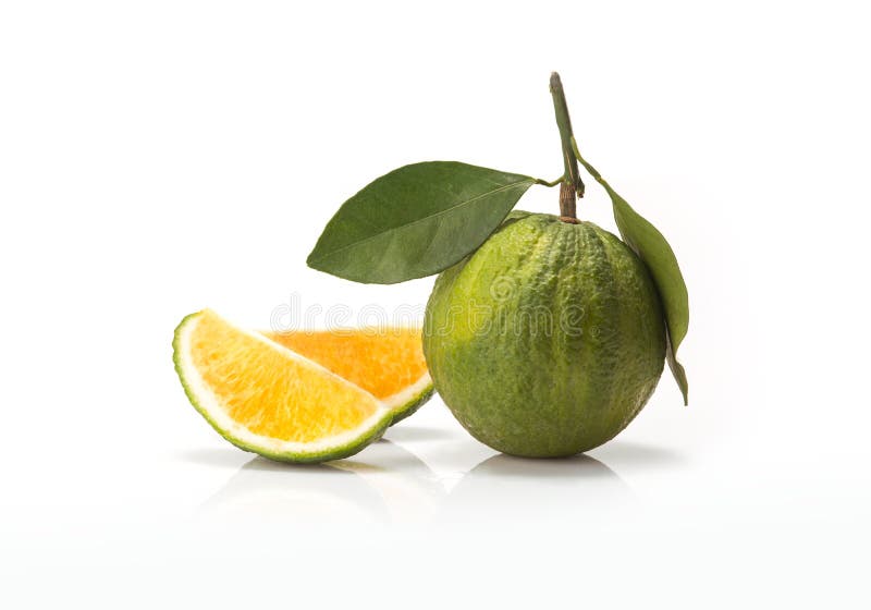 Sweet green Oranges fruit stock photo. Image of citrus 49607006