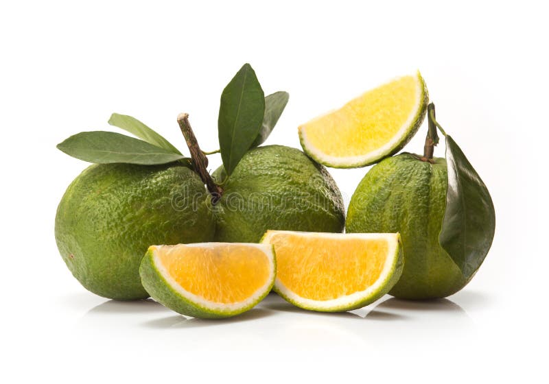 Sweet green Oranges fruit stock photo. Image of citrus 49607006