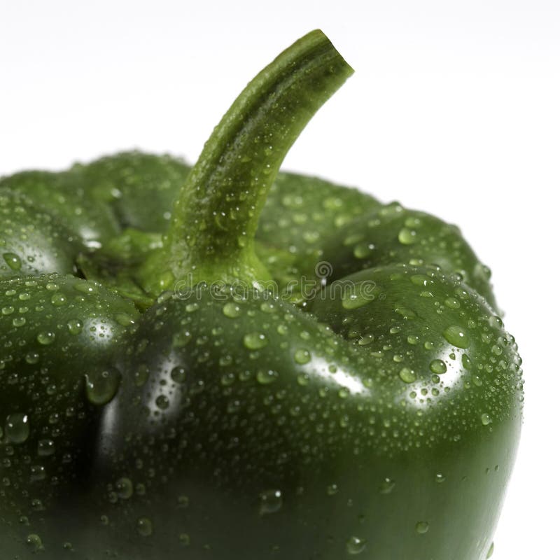 Sweet Green Pepper, Capsicum Annuum, Vegetable Against White Background