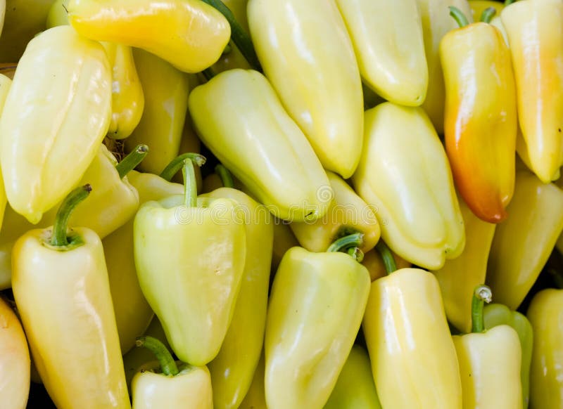 Sweet Gypsy Peppers on Display Stock Image Image of pepper